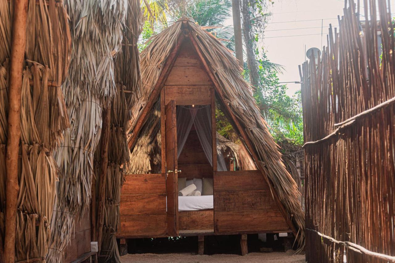 Mapache Hostel & Camping Isla Holbox Luaran gambar