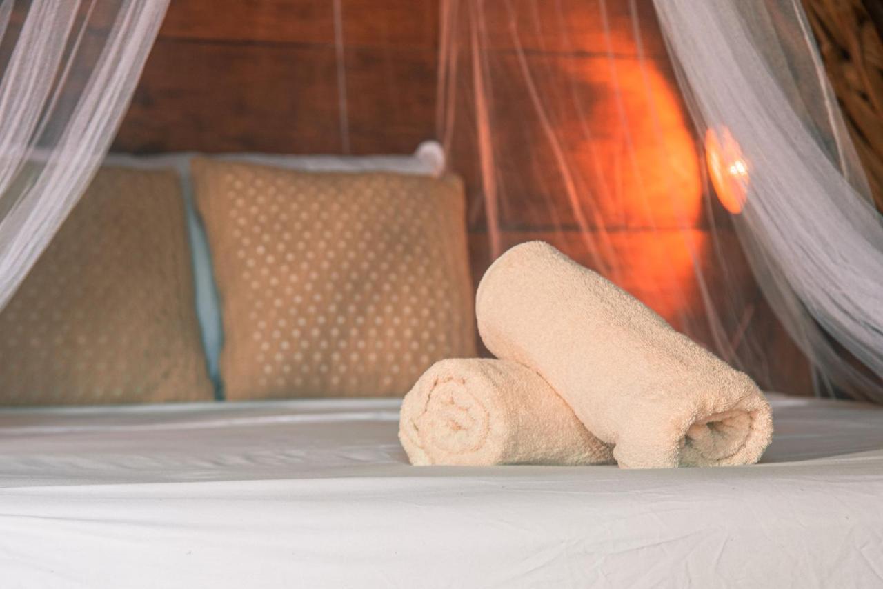 Mapache Hostel & Camping Isla Holbox Luaran gambar