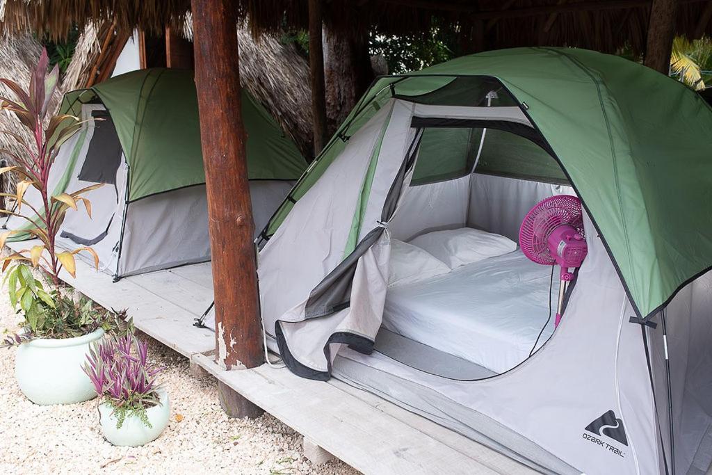 Mapache Hostel & Camping Isla Holbox Luaran gambar