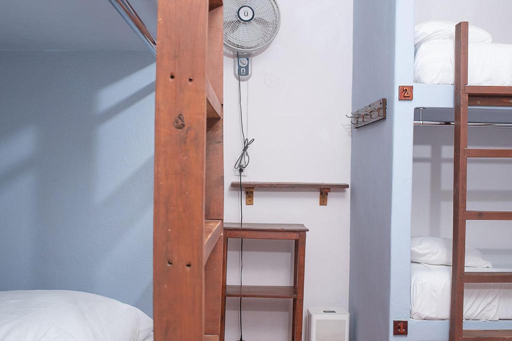 Mapache Hostel & Camping Isla Holbox Luaran gambar