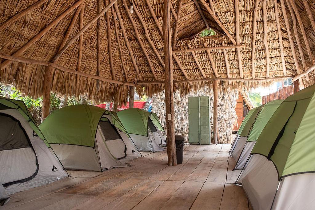 Mapache Hostel & Camping Isla Holbox Luaran gambar