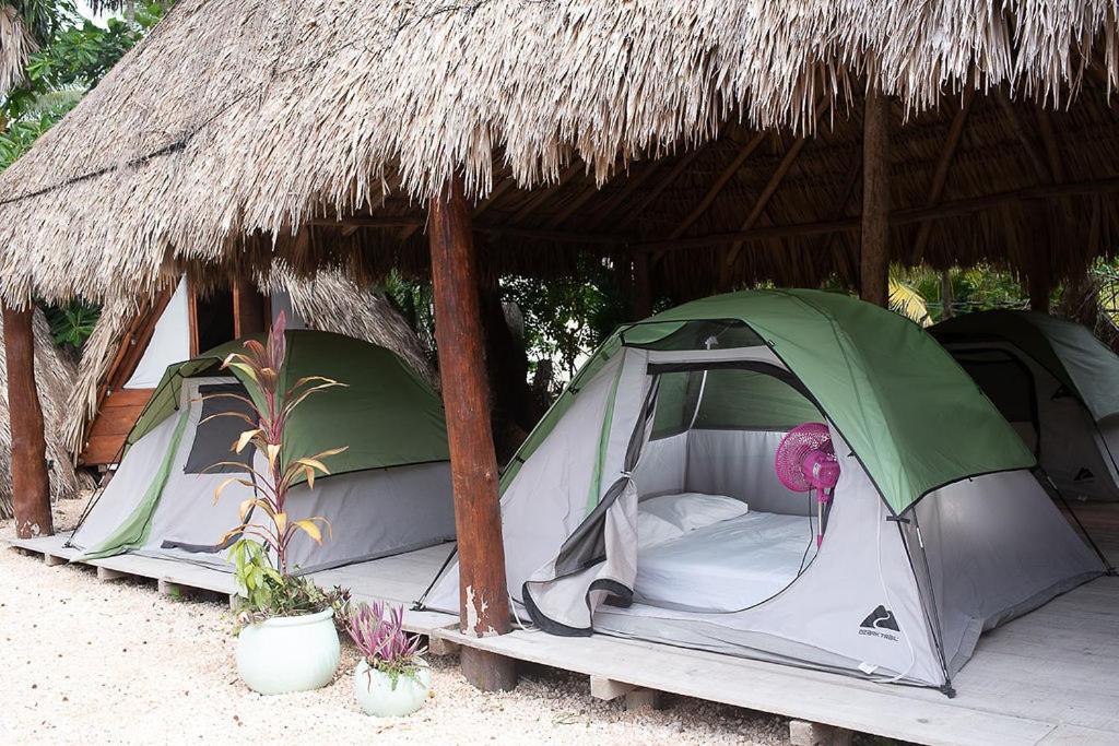Mapache Hostel & Camping Isla Holbox Luaran gambar