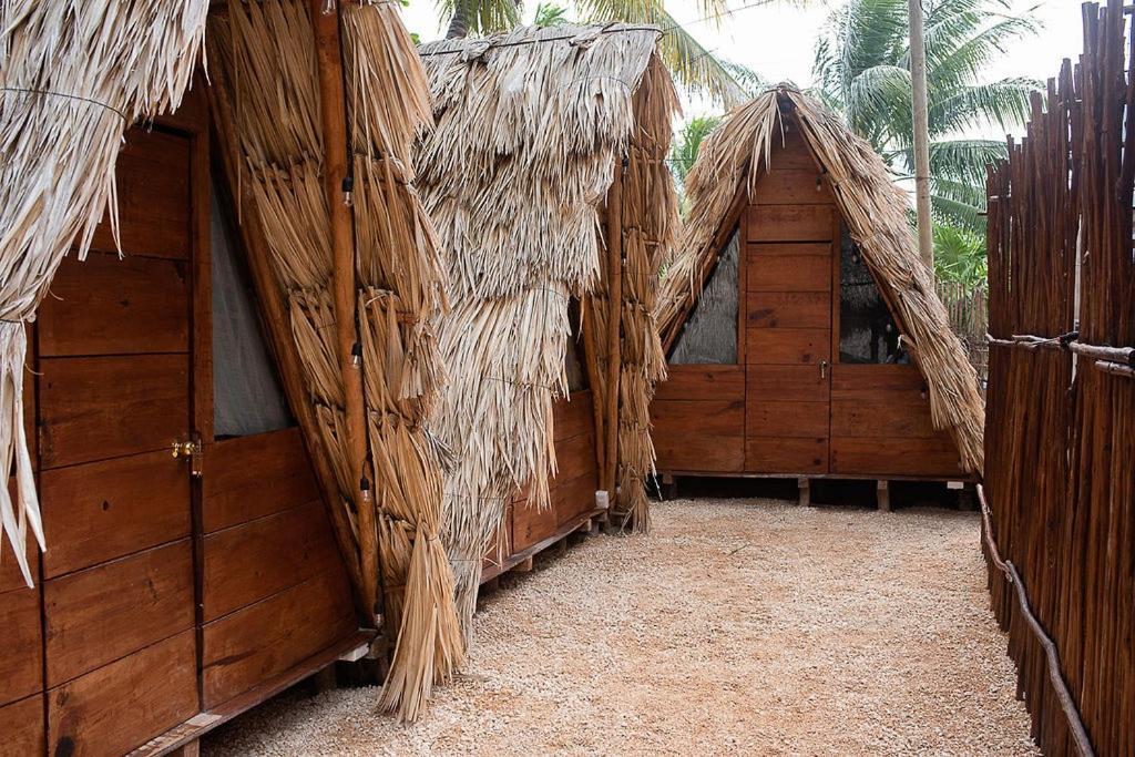 Mapache Hostel & Camping Isla Holbox Luaran gambar