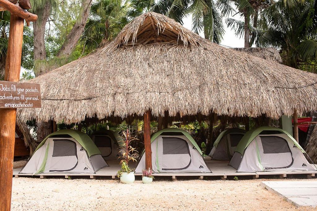 Mapache Hostel & Camping Isla Holbox Luaran gambar